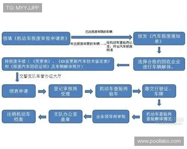 安全可靠的ag真人手机版下载渠道及安装流程全面指南