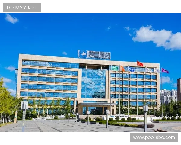 K8.com凯发现金开户平台的客户服务与技术支持全方位解读